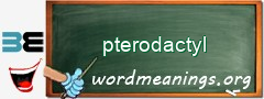 WordMeaning blackboard for pterodactyl